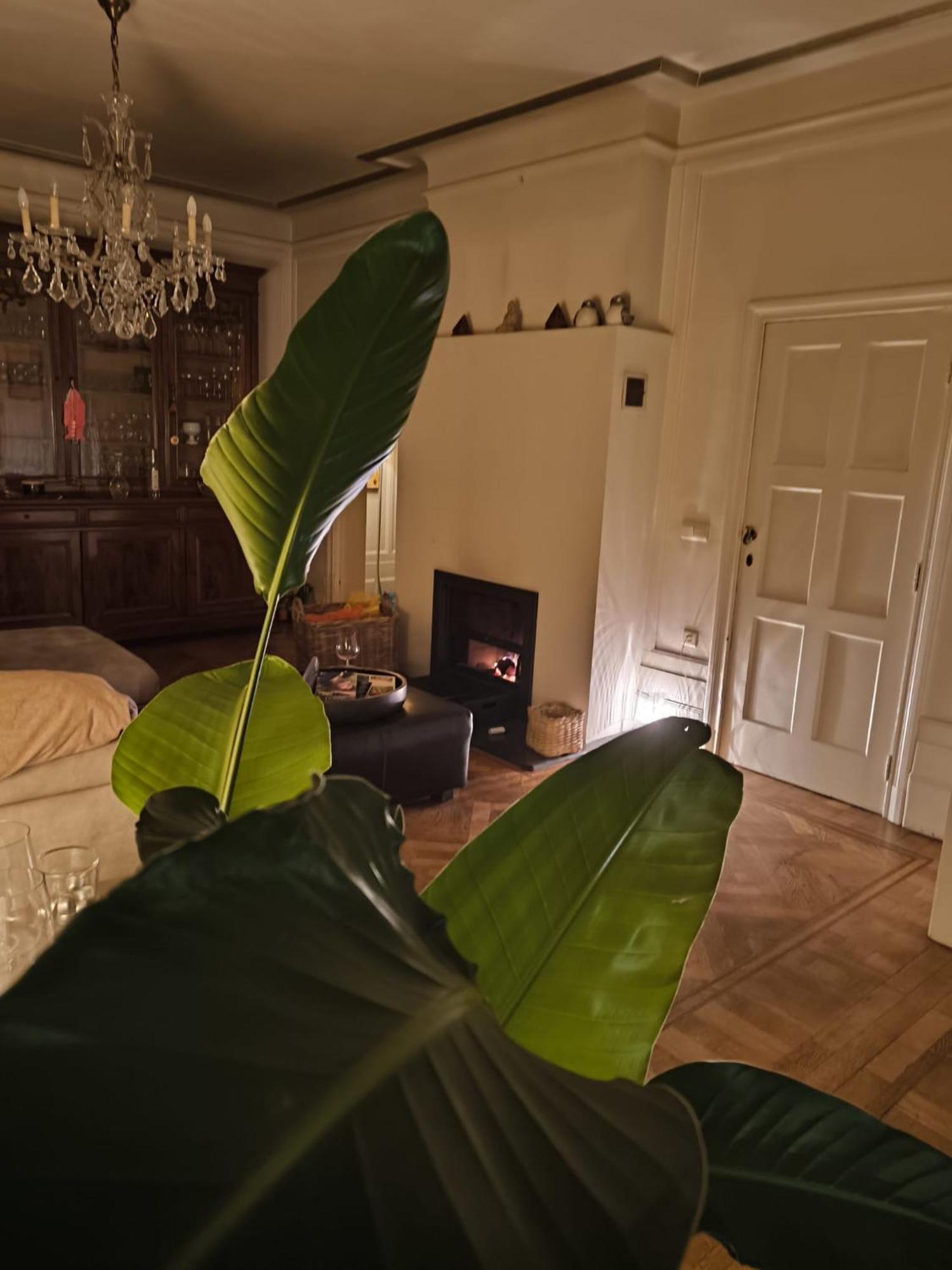 Appartement Le Castel Mosan à Namur Extérieur photo